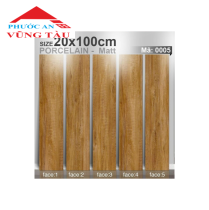 Gạch Tasa 20x100cm 0005