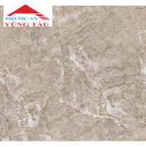 Gạch 50x50 VTC 5324