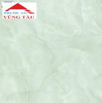 Gạch 50x50 VTC 5366