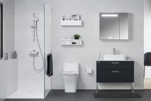 CÁCH CHỌN THIẾT BỊ VỆ SINH PHÙ HỢP CHO NHÀ Ở HIỆN ĐẠI