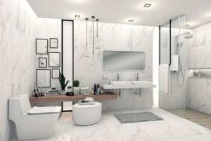 KẾT HỢP VẬT LIỆU XÂY DỰNG VÀ THIẾT BỊ VỆ SINH TRONG THIẾT KẾ TỔNG THỂ