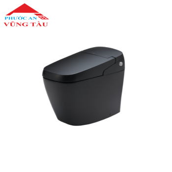 Bồn Cầu Thông Minh INAX AC-G216VN - BKG