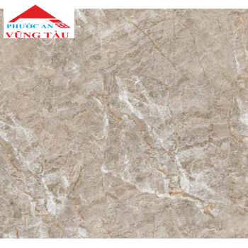 Gạch 50x50 VTC 5324