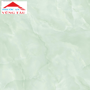 Gạch 50x50 VTC 5366