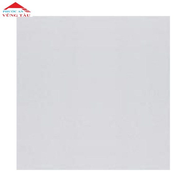 Đá Granit Đồng Tâm 60x60 VENUS001