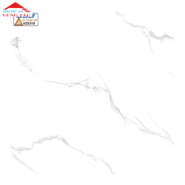 Gạch 50x50 VTC 5318