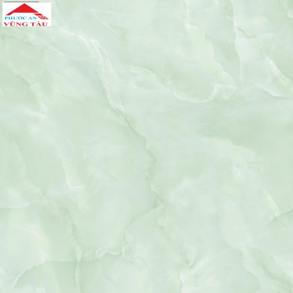 Gạch 50x50 VTC 5366